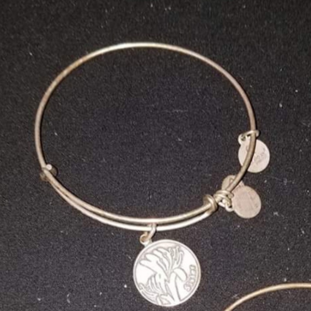 Alex and Ani